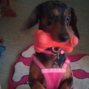 Meet your Posher, Susan